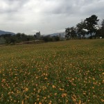 【大庄会 武庫川流域をたどる小さな旅】