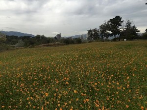 【大庄会 武庫川流域をたどる小さな旅】