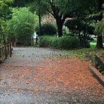 【大庄会 武庫川流域をたどる小さな旅3】