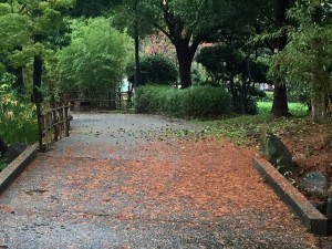 【大庄会 武庫川流域をたどる小さな旅3】